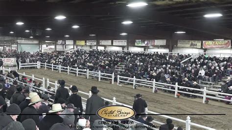 The 2022 Belgian Review will ship out mid-February of 2023, and books will be available to purchase at the Mid-America Draft Horse Sale. . Mid america draft horse sale 2023